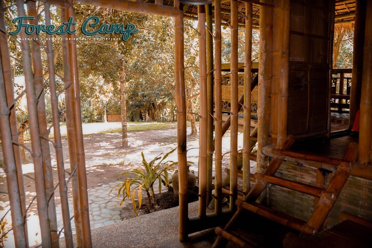 Forest Camp Resort Valencia  ภายนอก รูปภาพ