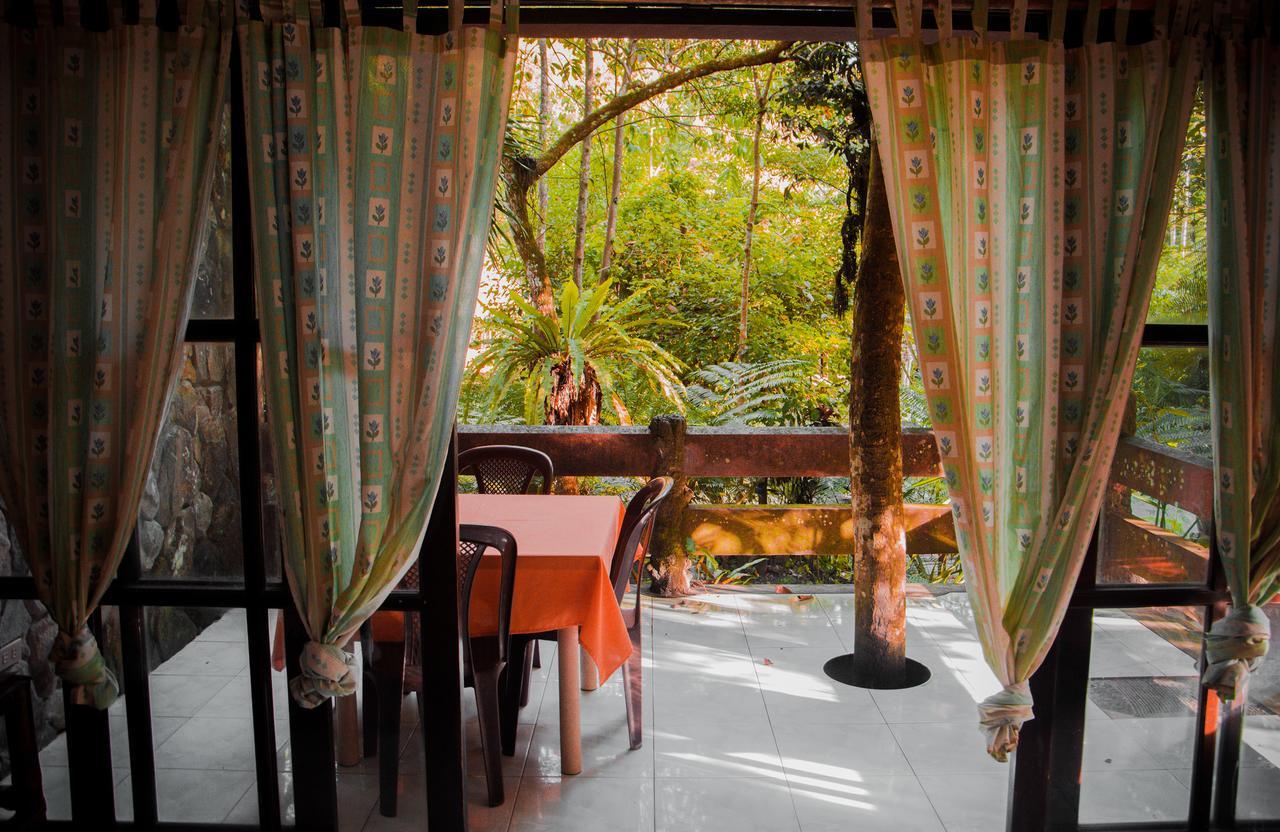 Forest Camp Resort Valencia  ภายนอก รูปภาพ